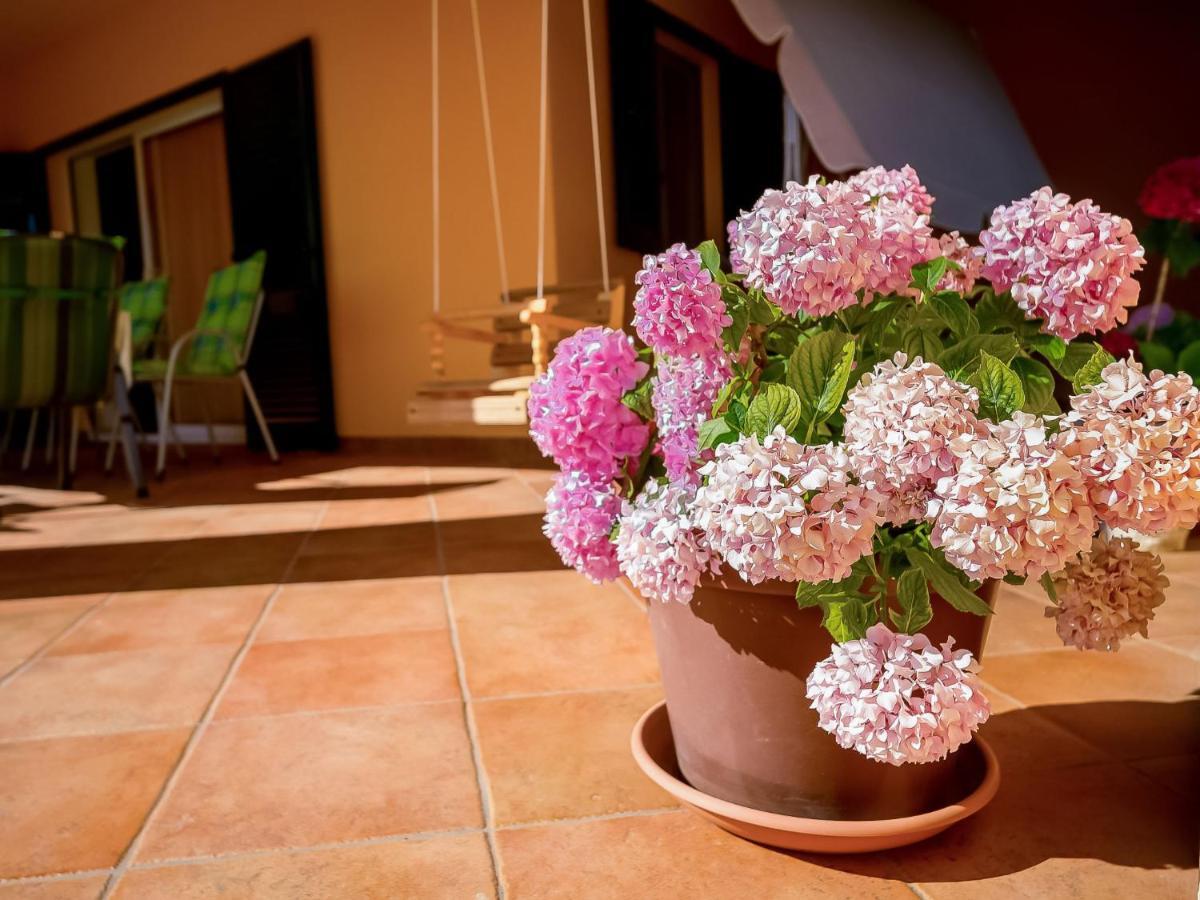 Holiday Home Mila By Interhome Kras Ngoại thất bức ảnh